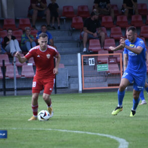 Puszcza Niepołomice - Polonia Bytom 1:1 (1:1)